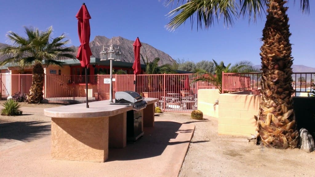 Palm tree, pool area, Borrego Springs